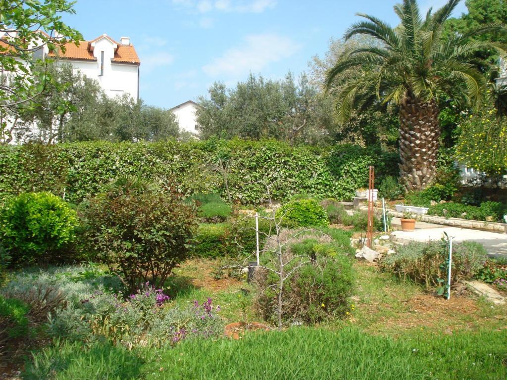 Apartments Labor Vodice Room photo